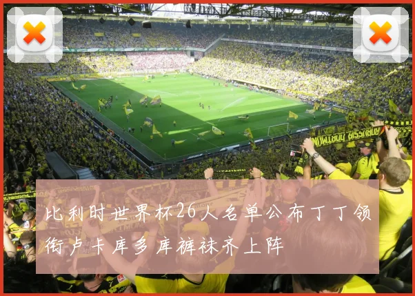 比利时世界杯26人名单公布丁丁领衔卢卡库多库裤袜齐上阵