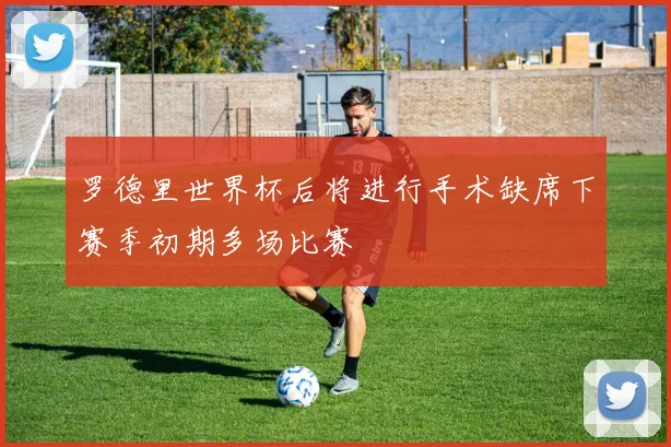 罗德里世界杯后将进行手术缺席下赛季初期多场比赛