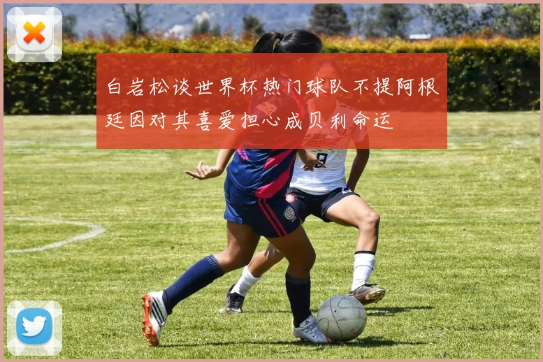 白岩松谈世界杯热门球队不提阿根廷因对其喜爱担心成贝利命运